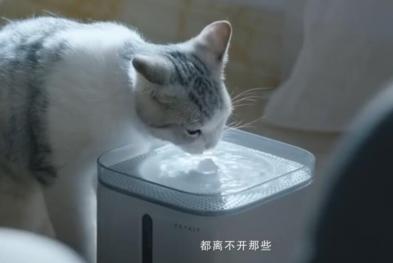 天猫超级品类日——我们生活以水之名